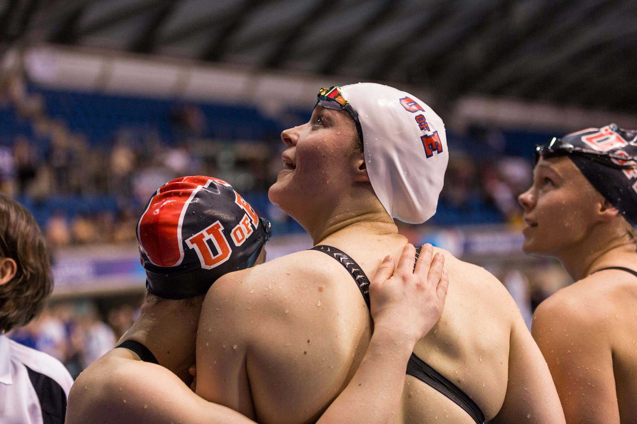 Image of swimmers